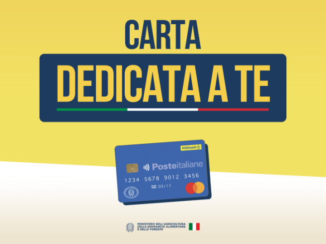 social card 2025